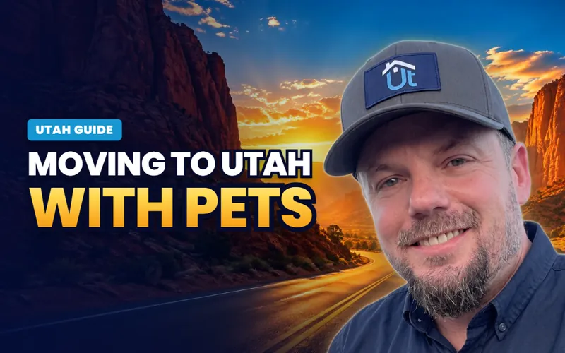 Moving with pets