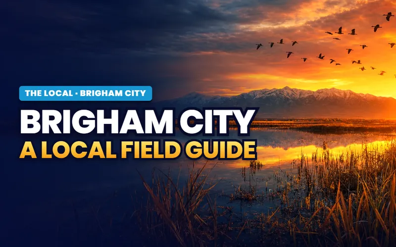 Brigham City, all of it
