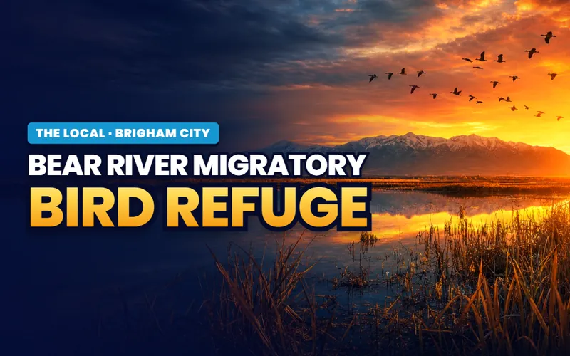 Bear River Bird Refuge in Brigham City