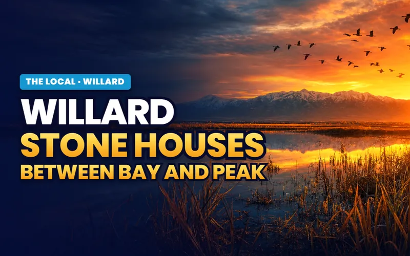 Willard, all of it