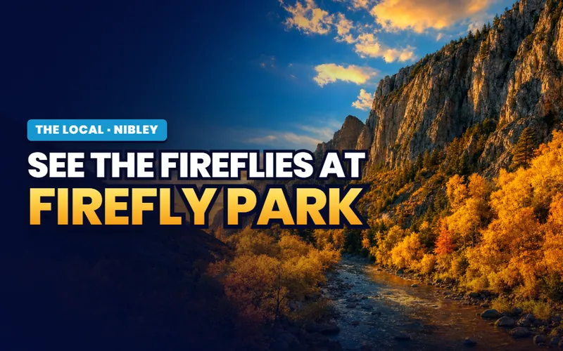 Fireflies at Firefly Park in Nibley