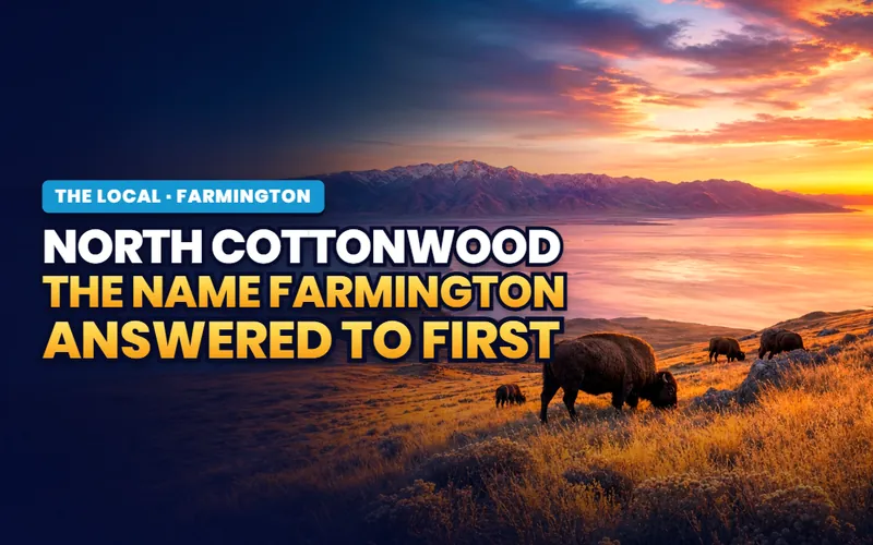 North Cottonwood in Farmington