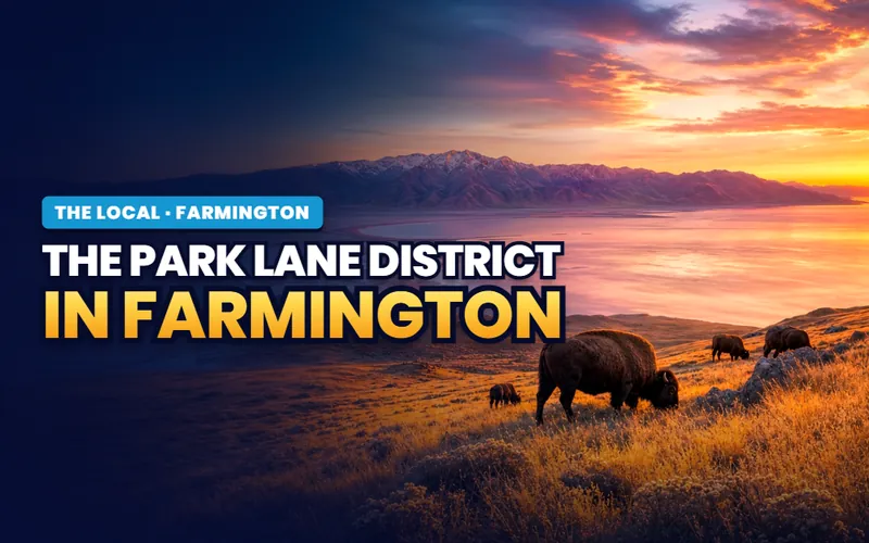 The Park Lane district in Farmington