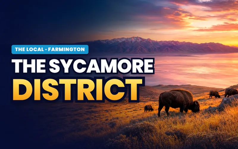 The Sycamore district in Farmington