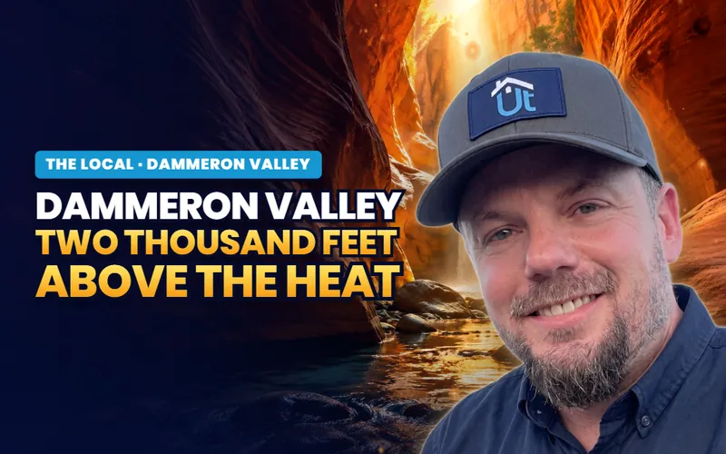 Dammeron Valley, from a local