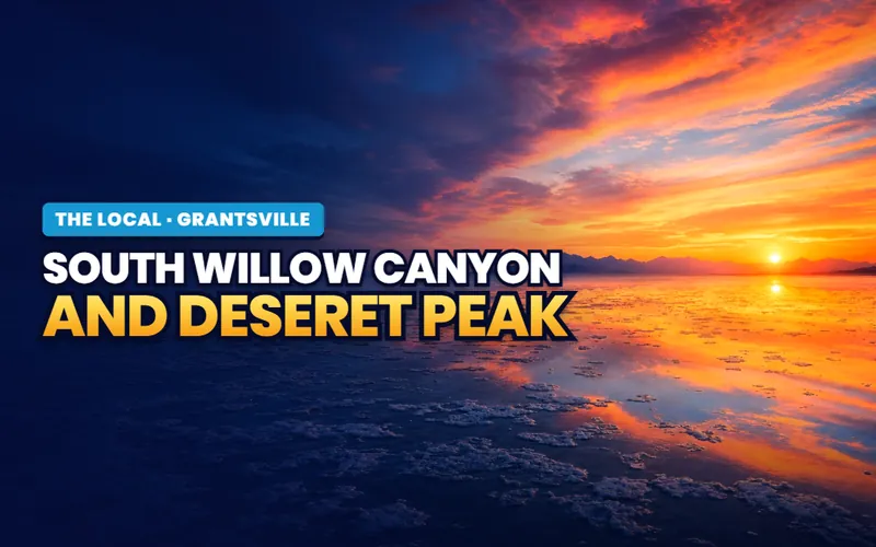 South Willow Canyon in Grantsville