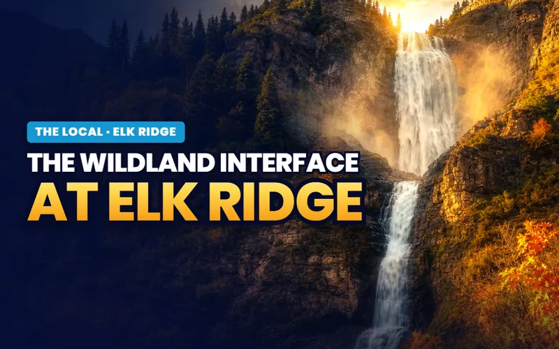 The wildland interface in Elk Ridge