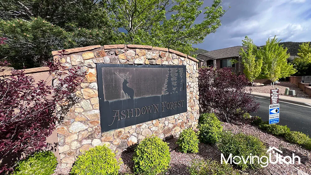 Homes in Ashdown Forest, Cedar City, Utah.